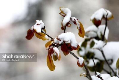 هشدار هواشناسی به ۲۵ استان | خسارت به محصولات کشاورزی با تشدید بارش‌ها