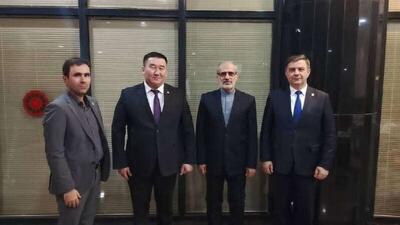 دیدار رئیس کمیته اجرایی ساختار ضدتروریستی سازمان همکاری شانگهای با مهرداد کیائی