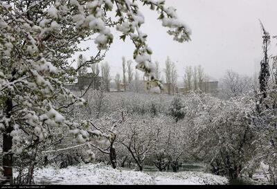 هشدار هواشناسی به ۲۵ استان؛ خسارت به محصولات کشاورزی با تشدید بارش‌ها