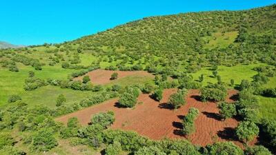 بازپس‌گیری اراضی ملی اشنویه؛ ۵ هکتار رفع تصرف شد