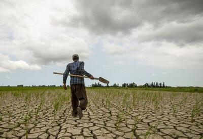 پاسبان: بحران آب نتیجه نبود مدیریت هوشمند است نه تقصیر کشاورزی