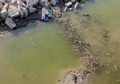 موضع‌گیری فرماندار سنندج؛ آب سد ژاوه آلوده است - تسنیم