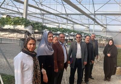 گفت‌و‌گو| اجرای طرح زمین‌گرمایی و کشت معلق در استان مرکزی - تسنیم