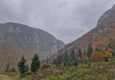پدیده‌های جوی به‌ دور از شتاب‌زدگی تحلیل شوند - تسنیم