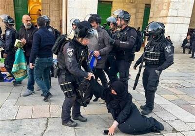 بربرهای صهیونیست/گزارشی جدید از خوی وحشی ساکنان شهرکهای اشغالی - تسنیم