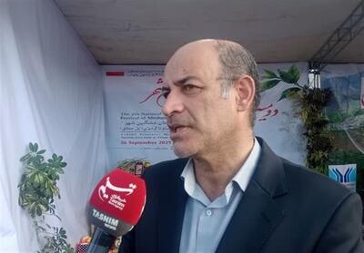 فعالیت 30 هزار هنرمند در 60 رشته صنایع دستی در اردبیل - تسنیم