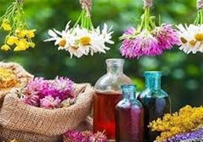 چالش‌های تولیدات گیاهی در کردستان - تسنیم