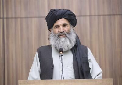 طالبان: کشورهای منطقه برای کشت جایگزین خشخاش همکاری کنند - تسنیم