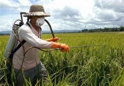 هشدار اجرای مبارزه پاییزه برای کنترل آفات - تسنیم