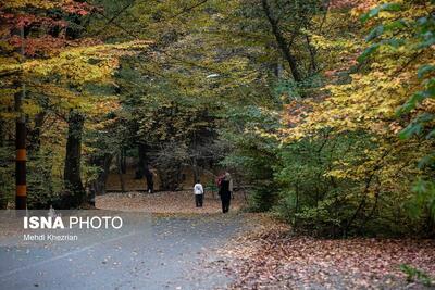 النـگدره؛ قاب ماندگار فصل دگرگونی