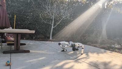  ربات خزنده انسان‌نما با حرکات حیرت‌آور کاربران اینترنت را شوکه کرد