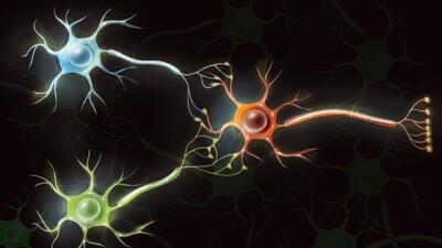  نسل تازه‌ای از کامپیوترهای زیستی؛ تبدیل سلول‌های مغزی انسان به کامپیوتر