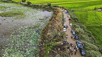 جلوگیری از خرد شدن اراضی کشاورزی راهکاری برای دستیابی به امنیت غذایی