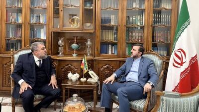 غریب آبادی: روابط ایران و برزیل ظرفیت گسترش قابل توجهی دارد