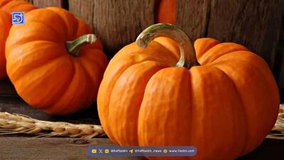  معجزه ای باورنکردنی به نام کدو حلوایی