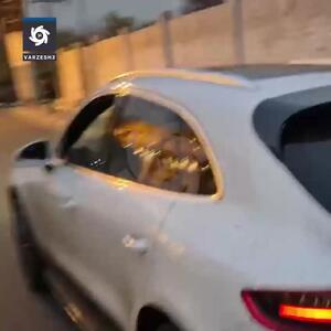 واکنش رامین رضاییان به شایعه درگیری با ساپینتو+ فیلم