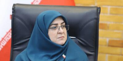 مهاجرانی: حذف ارز برنج به‌درخواست واردکنندگان بود