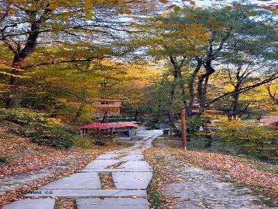  پارک جنگلی نسوم سوادکوه