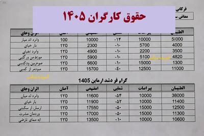 افزایش حقوق کارگران ۱۴۰۵/ پیش‌بینی ۳۵ تا ۴۵ درصد با حداقل دستمزد ۱۲ تا ۱۵ میلیون تومان/