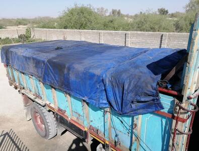  کشف 21 هزار کیلو شلتوک قاچاق در ایذه 