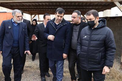  بازدید وزیر ورزش و جوانان از پروژه‌های نیمه تمام سالن ۶ هزار نفری و سالن دوومیدانی قزوین