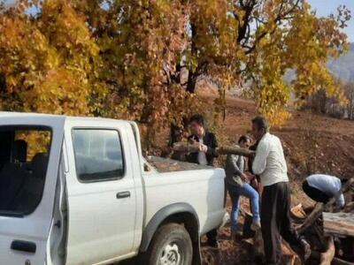 کشف و ضبط ۳۰۰ کیلوگرم چوب بلوط قاچاق در روستای آلمانه