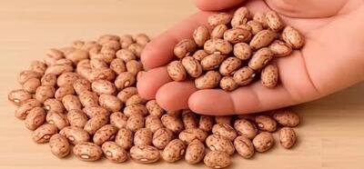  یه مشت لوبیا فکر نمیکردم همچین چیزی در بیاد غذای خوشمزه و آسون گیاهی