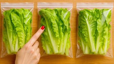  بهترین روش نگهداری از کاهو بدون له شدن و خراب شدن / تا ماهها کاهو سالم میماند