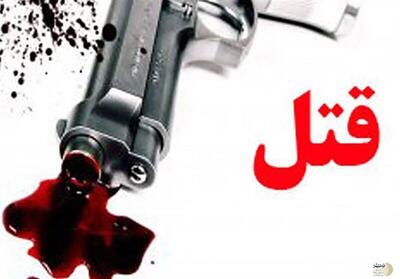 زن جوان، پسری ۱۹ ساله را برای قتل شوهرش اجیر کرد