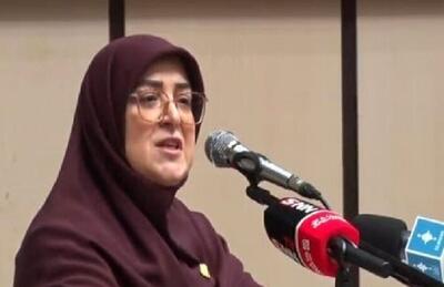  مهاجرانی: مشکلات حاصل یک دولت نیست؛ انباشتی از سال‌ها نگاه غیرعلمی است