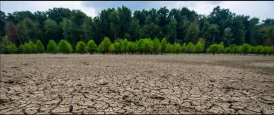 محیط‌زیست: شمال کشور تا ۱۰ سال آینده، مشکلات فلات مرکزی را خواهد داشت/ ایران کمتر از هفت درصد پوشش جنگلی دارد که همان هم در حال تخریب است