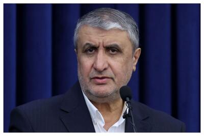 هیچ بازرسی در ایران حضور ندارد