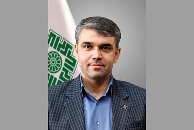  تقدیر معاون تحول هوشمند نظام مالیاتی از حسابداران، مشاوران مالیاتی و مدیران مالی