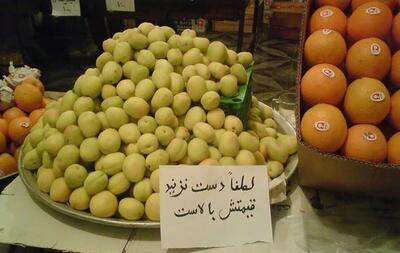 گرانی میوه زیر سر سازمان تعاون روستایی؛ شهرداری‌ در حذف واسطه همکاری کند