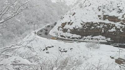 بارش شدید برف در جاده چالوس+ فیلم
