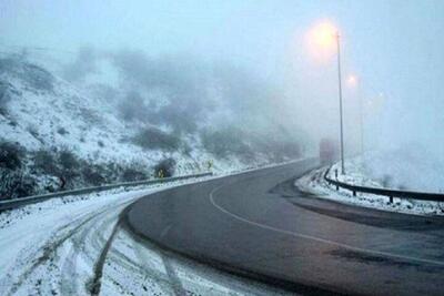 ببینید /  جاده چالوس سفیدپوش شد