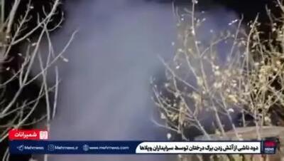 ببینید| آتش زدن شاخ و برگ درختان در شمال تهران در سایه عدم نظارت مسئولین