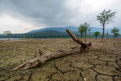 شمال در مسیر تکرار بحران فلات مرکزی/ شروع خشکسالی از ارتفاعات