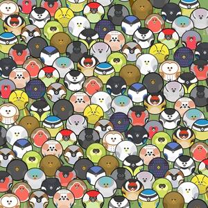  همین حالا مهارت‌های مشاهده خود را با این چالش خطای دید آزمایش کرده و کرم خاکی را میان پرندگان پیدا کنید!