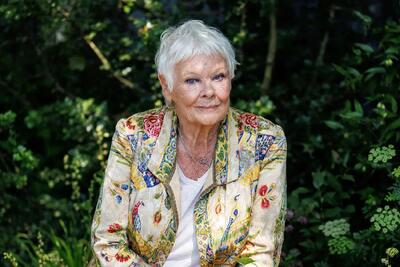 تقاضای دنچ برای بخشش واینستاین