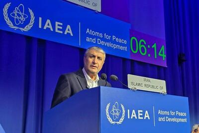 هیچ بازرسی از طرف آژانس در ایران حضور ندارد