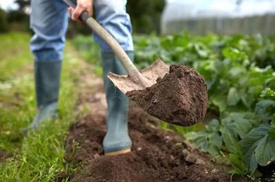  خاک سالم، بنیان تاب آوری اقلیمی و سامانه‌های غذایی پایدار است