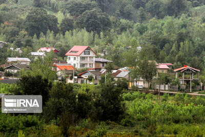 تغییر کاربری ۳۱۲ هکتار اراضی کشاورزی به مسکونی طی هفت سال