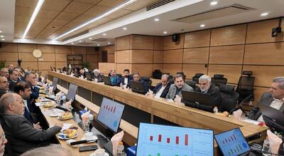 تأکید بر تکمیل زنجیره ارزش و تشکیل تعاونی‌های تخصصی در طرح «اتصال»