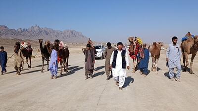  برگزاری مسابقات شتردوانی خاش به مناسبت روز جهانی خاک