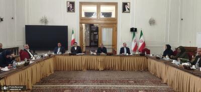  ستاد هماهنگی روابط اقتصادی خارجی در وزارت خارجه تشکیل جلسه داد/ نمایندگان صنعت فرش کشور علل کاهش سهم ایران از بازار های بین‌المللی را توضیح دادند