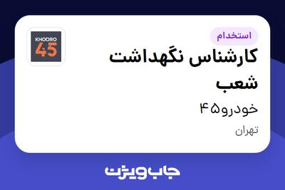  استخدام کارشناس نگهداشت شعب - آقا در خودرو45