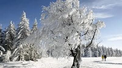  احتمال سرمای قطبی؛ آیا زمستان قرن در راه است؟