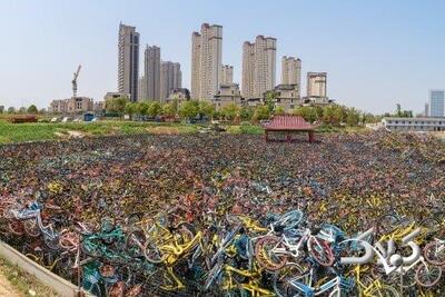 ویدیو| مدیریت ضعیف چینی‌ها دوچرخه‌ها را به گورستان برد - مجله اینترنتی کولاک