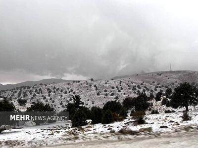 فیلم/ تصاویری از بارش برف در ارتفاعات شهر زنجان